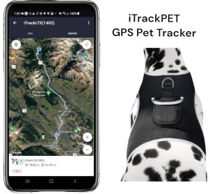 GPS Tracking Collar for Dogs with Real Time Location Updates Size Medium GPS Tracking Collar for Dogs with Real Time Location Updates Size Medium